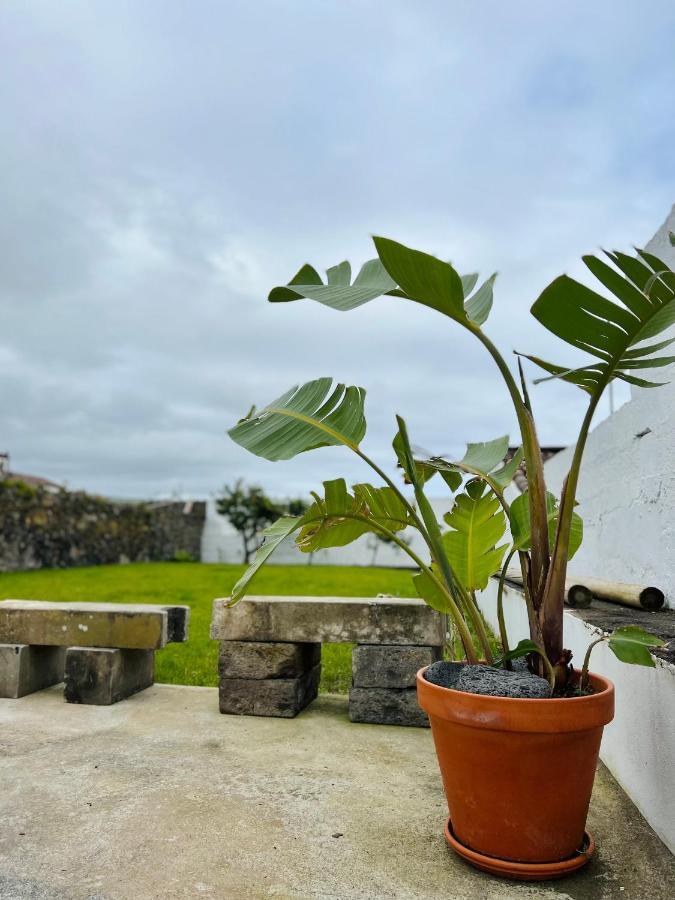 Casa Familia Acoriana Villa Vila Franca do Campo Exteriör bild